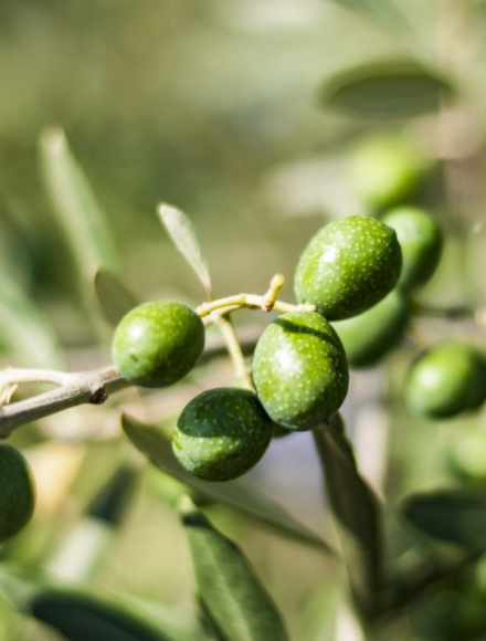 首页- 腾博官网诚信为本,专业服务!