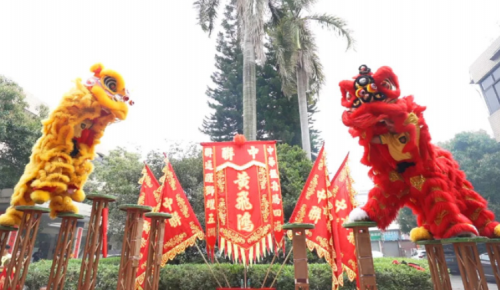 龙腾狮跃，共铸鲜丽将来！